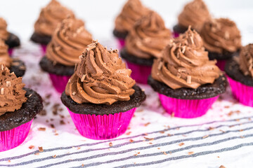 Chocolate ganache cupcake