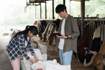 agriculture industry, dairy farming, livestock concept. Male and female dairy farmer inspecting...