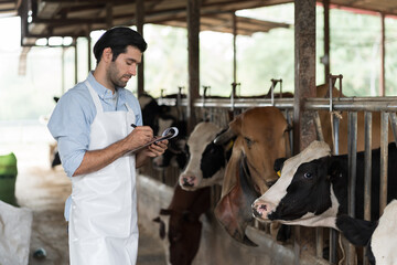 agriculture industry, dairy farming, livestock, animal health and welfare. Dairy farmer male...