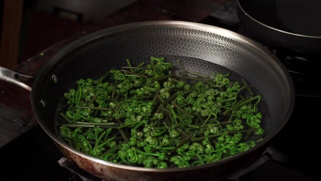 Cooking process of Northeast seasonal stir-fried vegetables with mountain bracken and fried meat