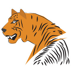 Tiger hand drawn illustration, Cartoon animal character