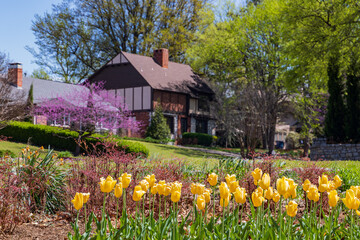 Obraz premium Sunny view of many flower blossom in Woodward Park and Gardens