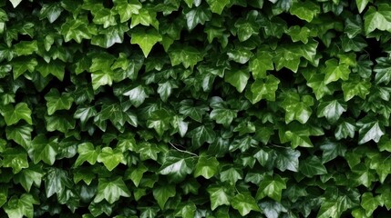 seamless ivy-covered wall green and rustic background texture, tile, 8K, generative ai