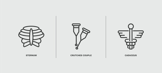 set of medical and healthcare thin line icons. medical and healthcare outline icons included sternum, crutches couple, caduceus vector.