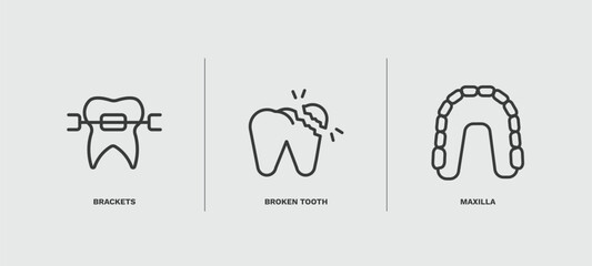 set of dental health thin line icons. dental health outline icons included brackets, broken tooth, maxilla vector. © Abstract