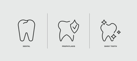 set of dental health thin line icons. dental health outline icons included dental, prophylaxis, shiny tooth vector.