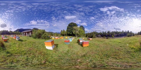 Photo of a panoramic view of beehives scattered across a lush green field"BRA_2018_360_Madv_20180804_124518_200296562_Photo_aff_rec_tpz_den_result.jpg