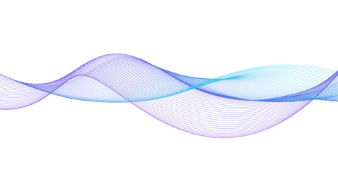 Abstract blue and purple lines on white background. Vector illustration. Banner, poster waves design.