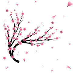 Meihao blossom, plum blossom vector design -chinese springtime meihua flower on branch
