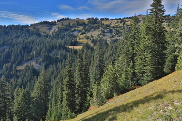 Beautiful Scenery of Pacific Crest Trail in Washington