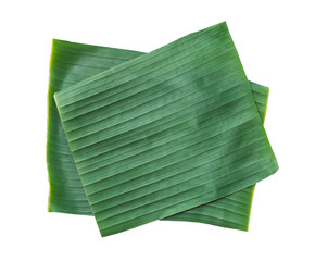 Banana leaf,fresh for wrapping or serving food as ecological dishware on isolated  background.