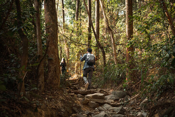 Naklejka premium Asian man is hiking in the forest.