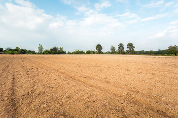 Fototapeta na wymiar Empty dry cracked swamp reclamation soil, land plot for housing construction project with car tire print in rural area and beautiful blue sky with fresh air Land for sales landscape concept.