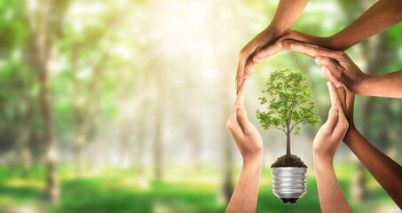 Bulbs with tree on soil. Earth day and earth day as group of diverse people joining to form hands connected together protecting the environment and promoting conservation and climate change issues.