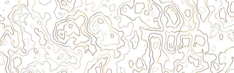 Topographic map background concept. Vector abstract illustration. Geography concept. The stylized height of the topographic map contour in colorful lines