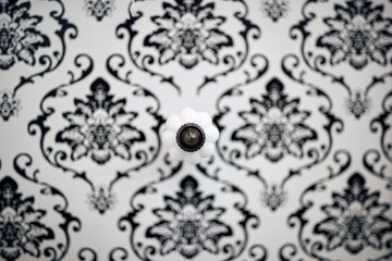 Ornate Ceiling Ornaments and a Dazzling White Chandelier