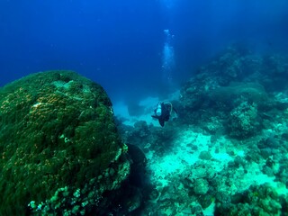 scuba diver and coral reef