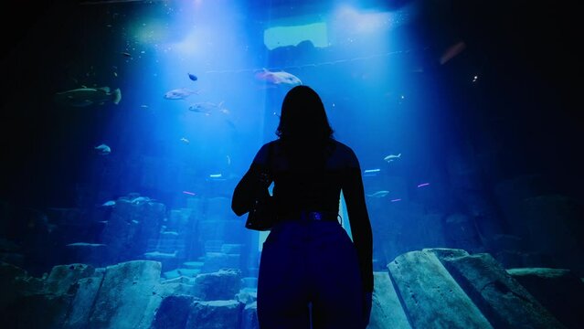 Low angle shot of young woman in front of a large fish aquarium 