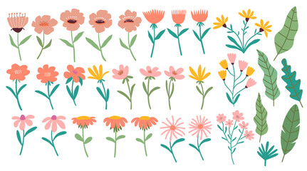 Set of vector flowers.  Spring art print with botanical elements. 