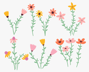 Set of vector flowers.  Spring art print with botanical elements. 