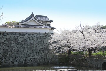 福岡市の舞鶴公園の潮見櫓