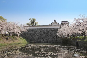 福岡市の舞鶴公園の潮見櫓