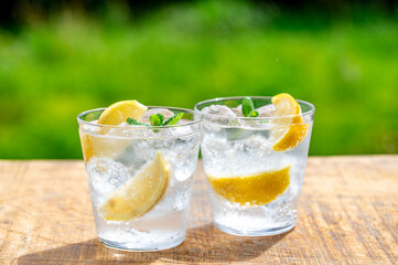 レモンサワー　レモン酎ハイ