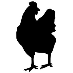 silhouette of a chicken