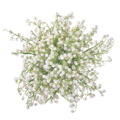 bouquet of white lilies of the valley on a white background, isolated.