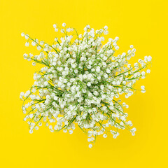 Bouquet of white fragrant lilies of the valley isolated on a yellow background.