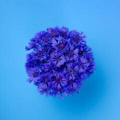 Bouquets of cornflowers isolated on blue background, top view