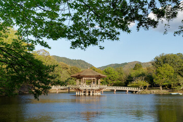 Fototapeta na wymiar 奈良公園浮見堂と青モミジ