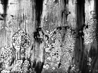 The background has an unusual and colorful pattern.