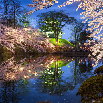Sakura festival at Takada castle, Joetsu, Niigata prefecture, Japan
