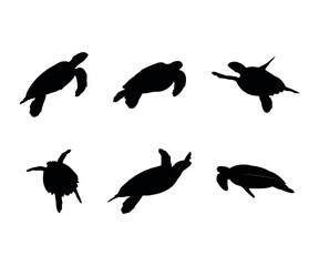 Collection of black silhouettes turtles
