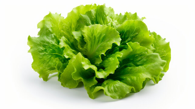 fresh green lettuce isolated on white background, generative ai