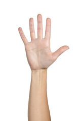 Woman hand counting isolated on white background, with clipping path.  Five fingers. Full Depth of field. Focus stacking. PNG
