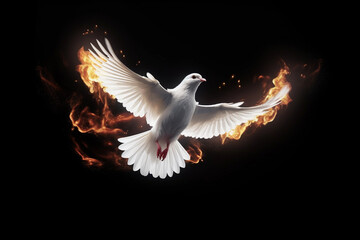 Flying dove in flames in a dark background