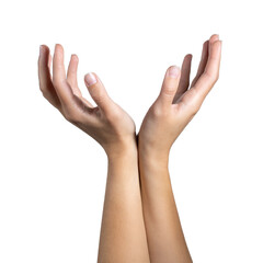 Obraz premium Woman hand holding grabbing or measuring something isolated on white background, with clipping path. Five fingers. Full Depth of field. Focus stacking. PNG
