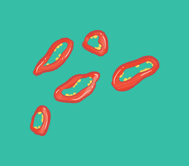 Sliced red chili in flat ingredient illustration
