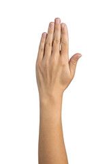 Obraz premium Woman hand shows stop gesture isolated on white background, with clipping path. Five fingers. Full Depth of field. Focus stacking. PNG