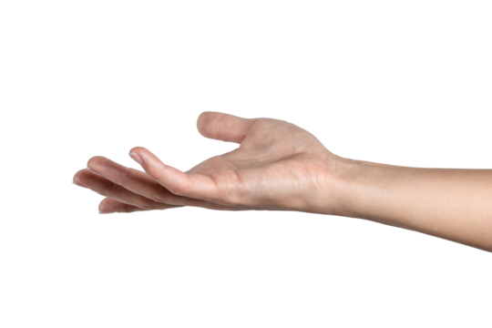 Woman hand shows open palm isolated on white background, with clipping path.  Five fingers. Full Depth of field. Focus stacking. PNG