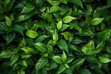 Many green leaves, top view (Generative AI, Generativ, KI)