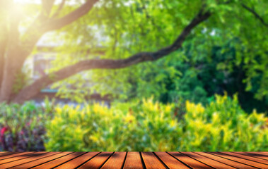Empty wooden table top and vibrant green blurred background. and the morning sun - can be used to...