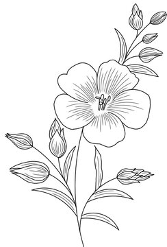 Beautiful graphic drawing Lily branch with leaves and buds of the flowers.