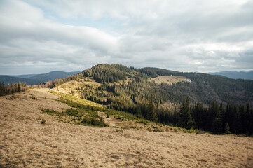 Carpathians. Ukraine. Mountain landscape. Winter Carpathians 2023 without snow