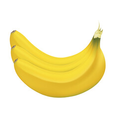 Fresh ripe yellow bananas. Organic fruit. PNG 3d illustration isolated on transparent background.