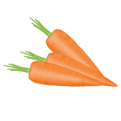 Fresh orange carrots vegetable organic. Healthy natural food. PNG 3d illustration. isolated on transparent background.