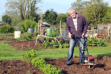 Senior or elderly gardener rotavating his ground ready to plant or sow organic vegetables.