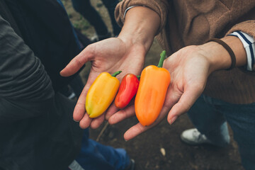 girl showing peppers in her hands
